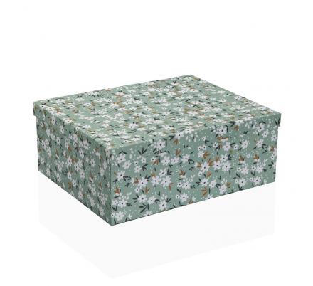 SET 15 CAJAS CARTON BELLIS